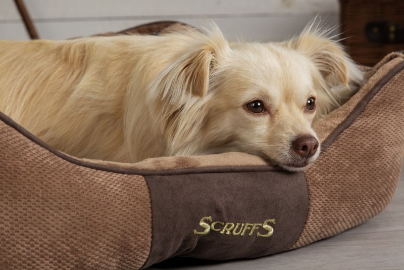 Лежак для животных с бортиками Scruffs Chester
