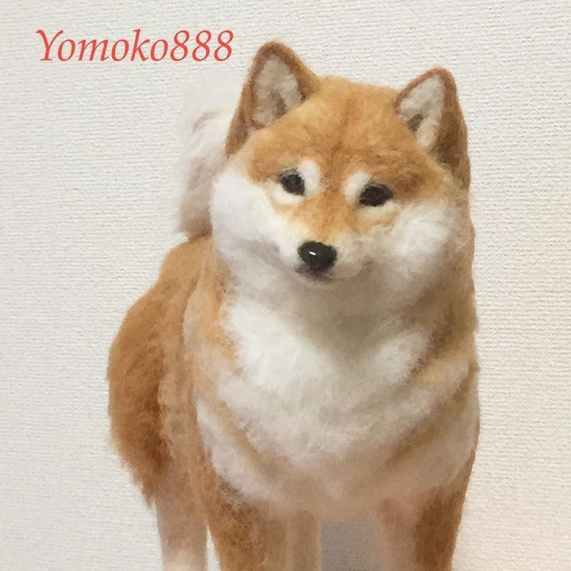 Собака ину сиба ину белая