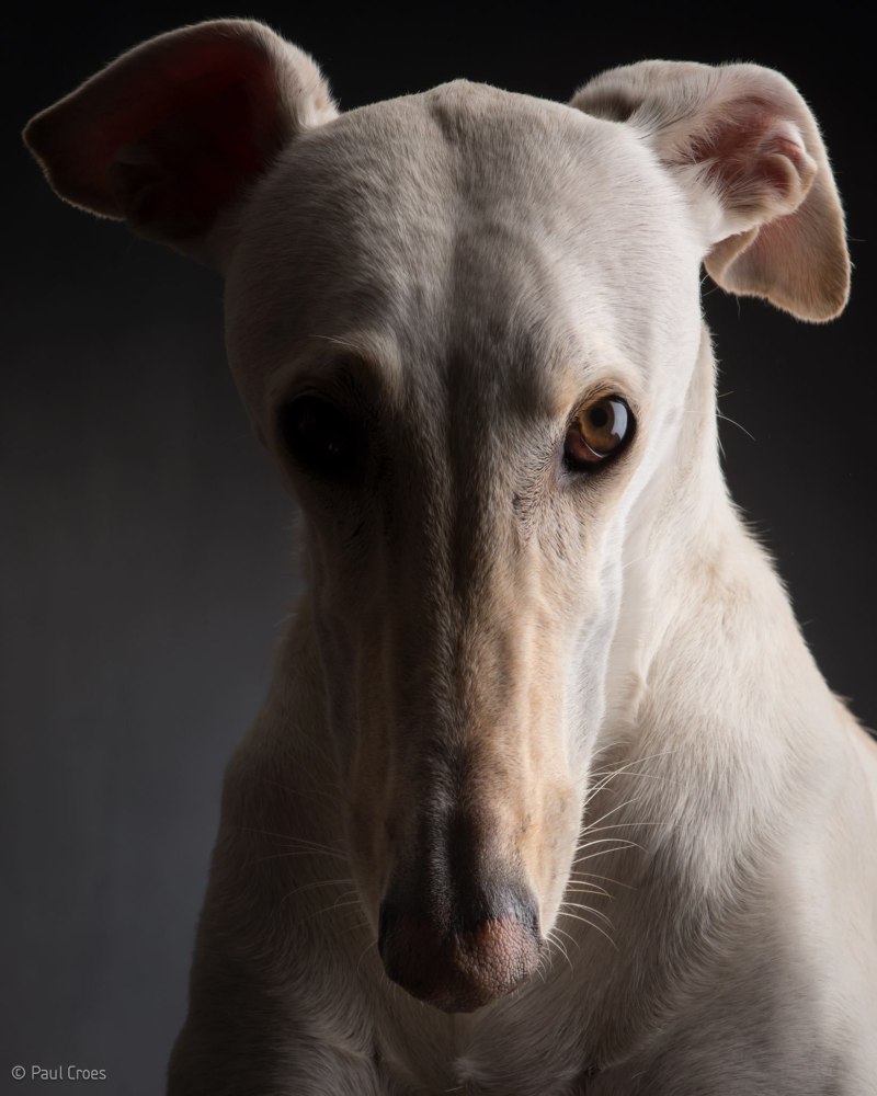 Paul Croes