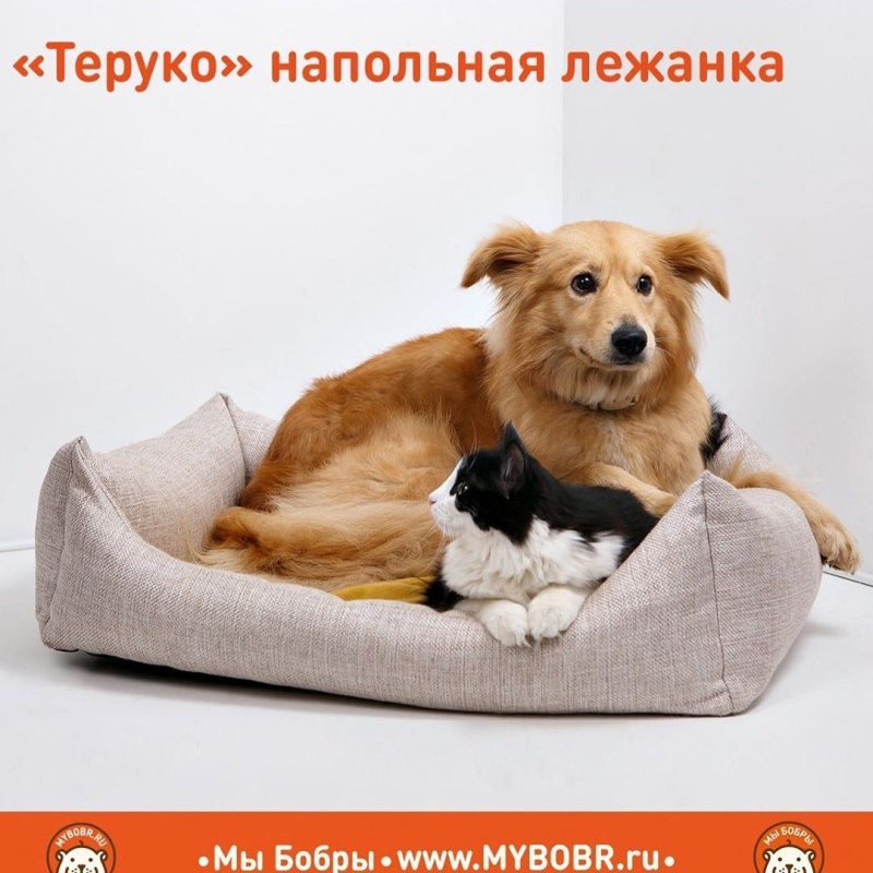 Лежаки для кошек и собак