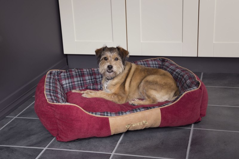 Лежак для собак Scruffs Chester Box Bed s 50х40 см