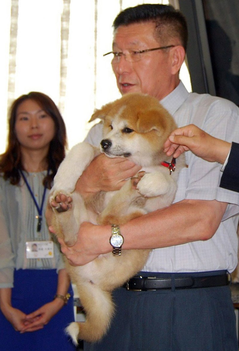 Юмэ собака Путина