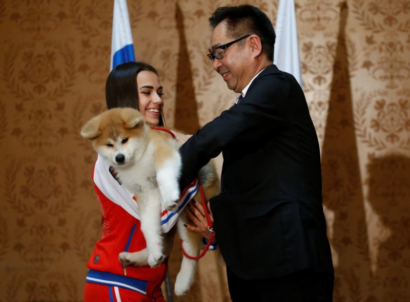 Собаки Путина 2019