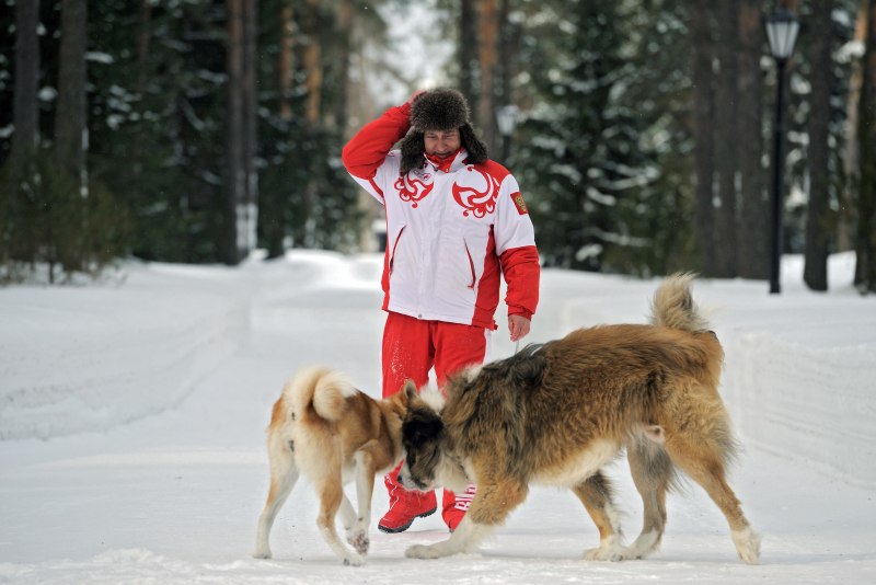 Юмэ собака Путина