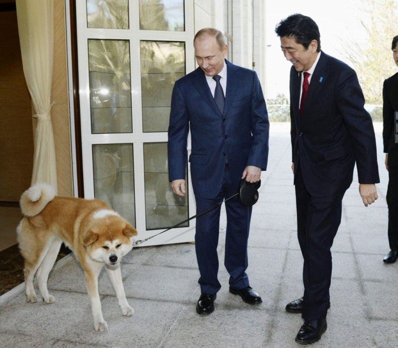 Акита Юмэ Путина