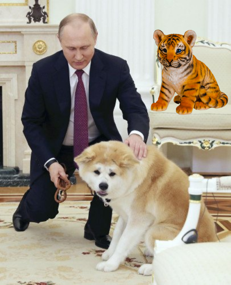 Путин с собакой Буша