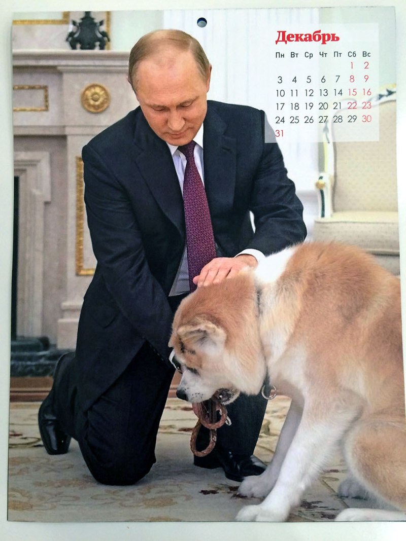 Политики животные передача