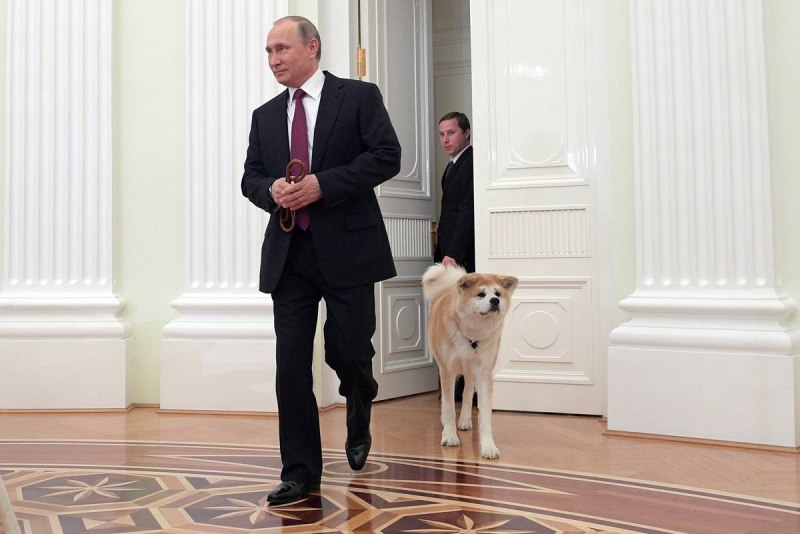 Путин и Акита ину