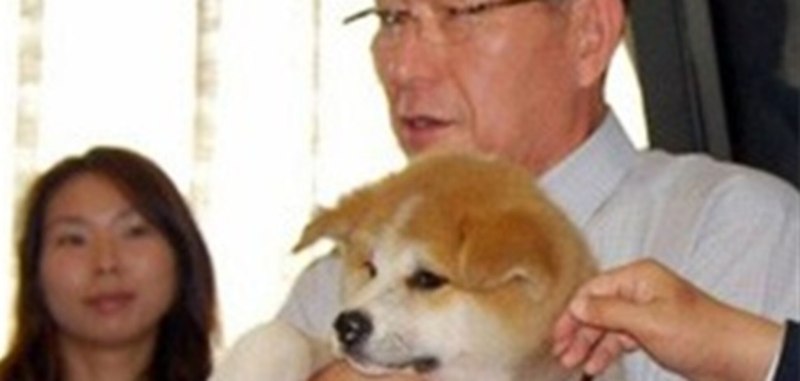 Каракачанская овчарка Путина