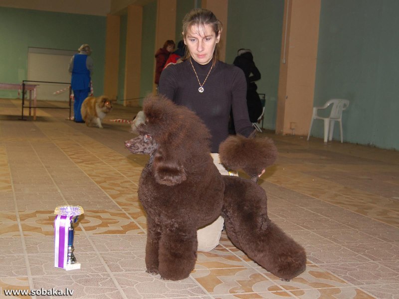 Ларионова Людмила пудель