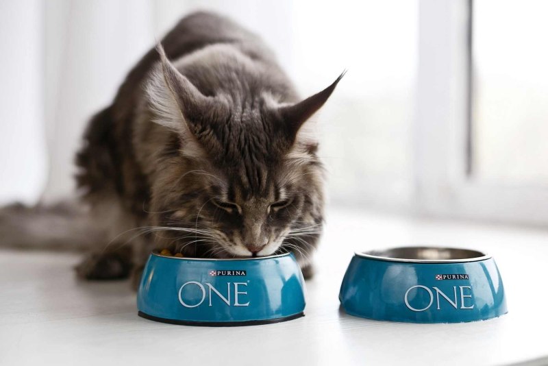 Purina one пауч для собак