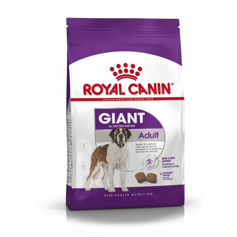 Royal Canin Medium Dermacomfort