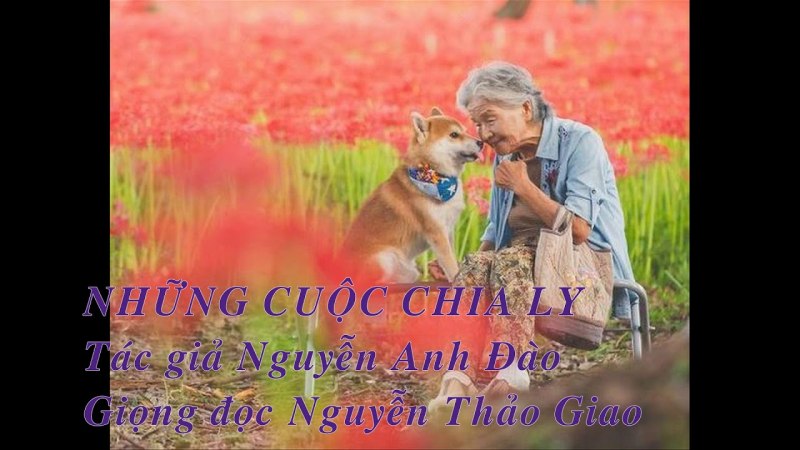 Бабуля с собакой