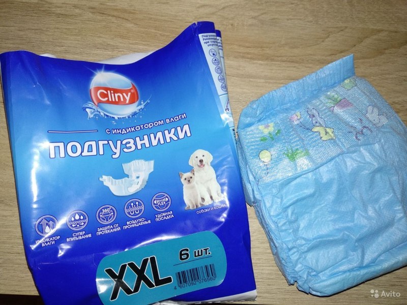 Трусы для животных