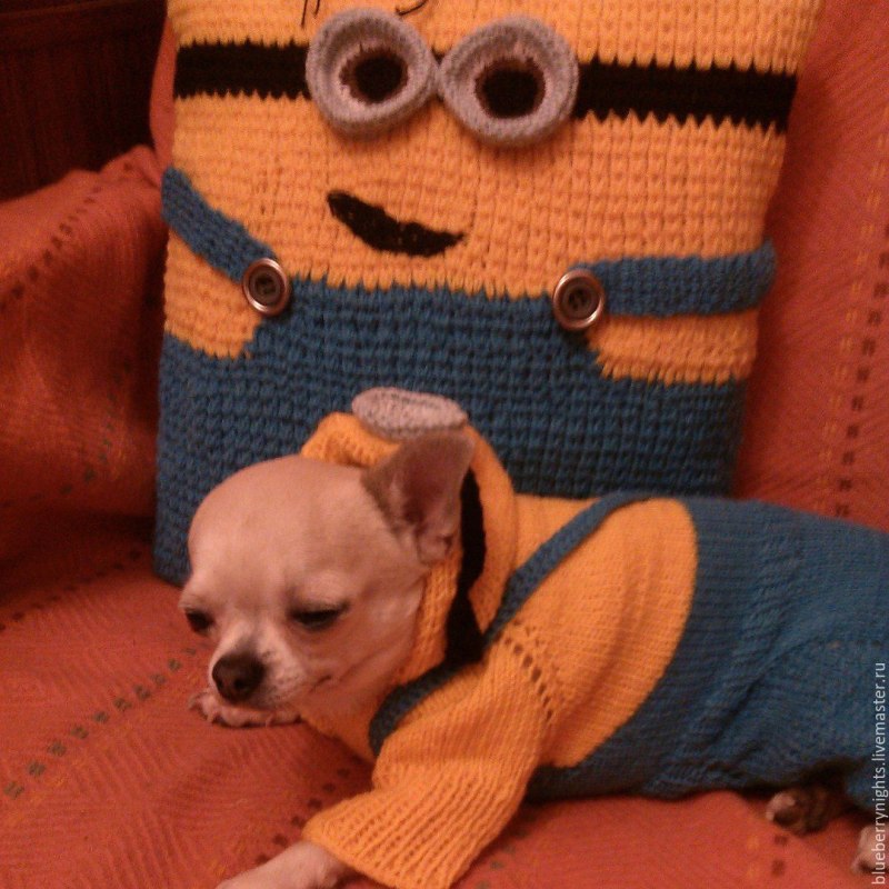 Arnydog одежда для собак
