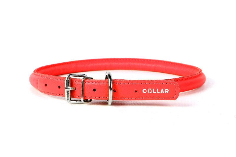 Ошейник Collar Glamour круглый 2241 25-33 см