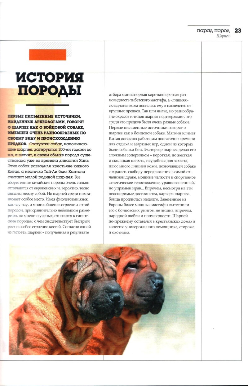 Барьер для шарпея