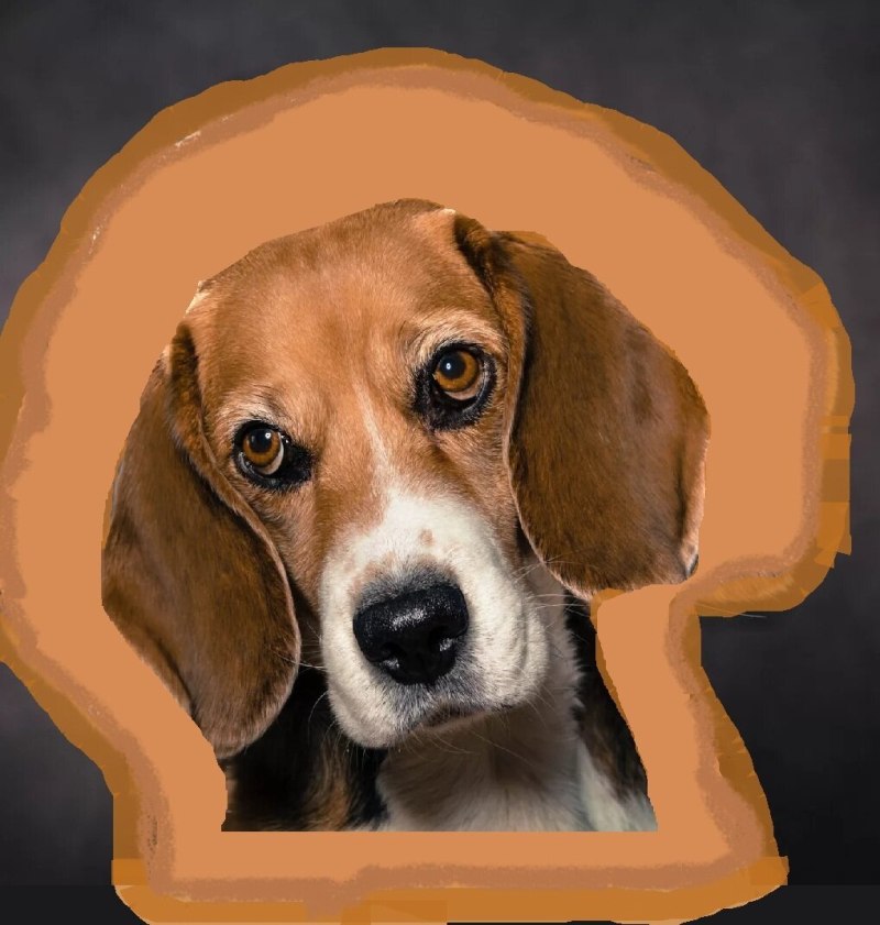 Манипу собака