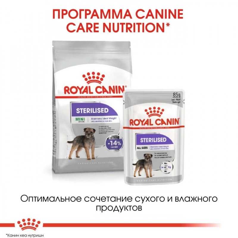 Royal Canin Mini Sterilised