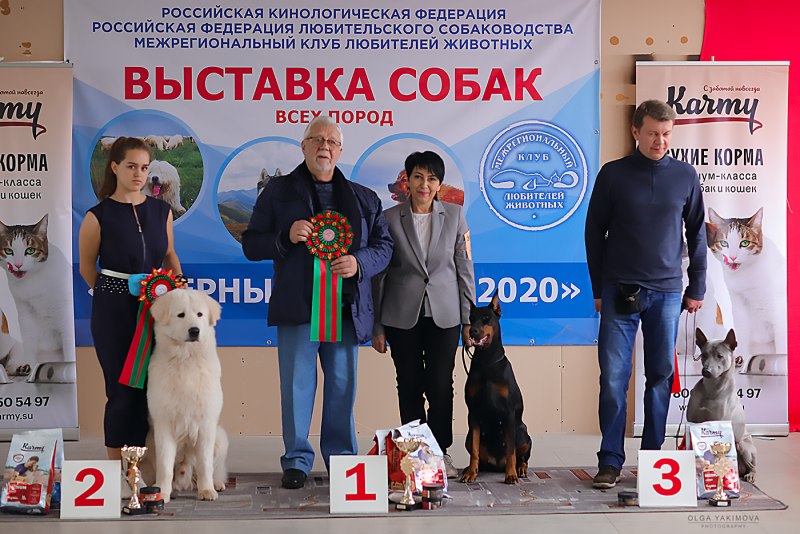 Выставочные классы собак