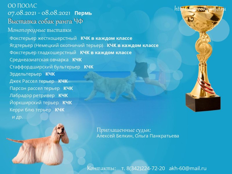 Ярмарка собак
