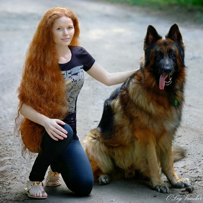 Овчарка девочка