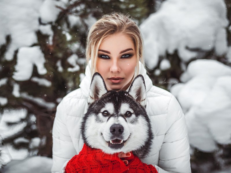 Настя хаски