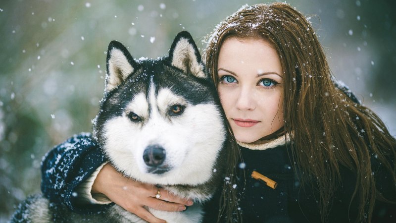 Красивая девушка с хаски
