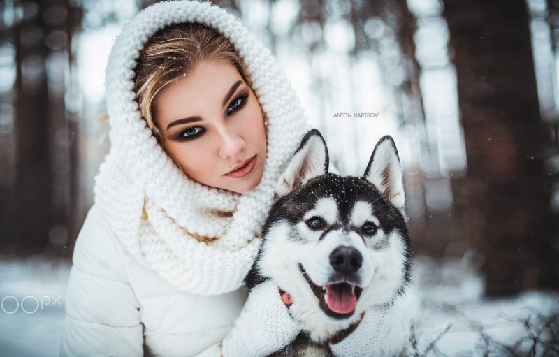 Зимняя фотосессия с собакой