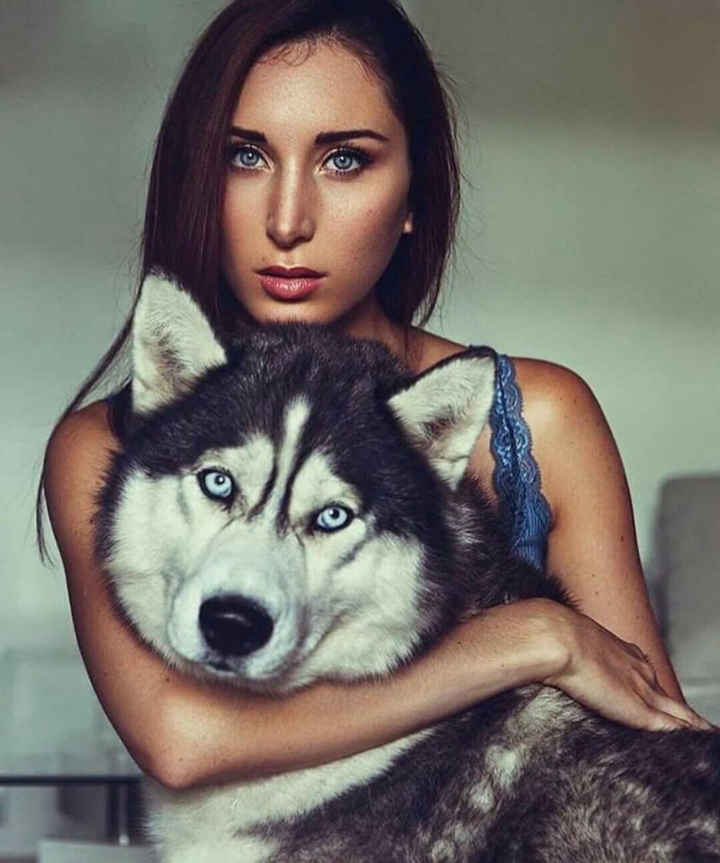 Ann Voronina хаски