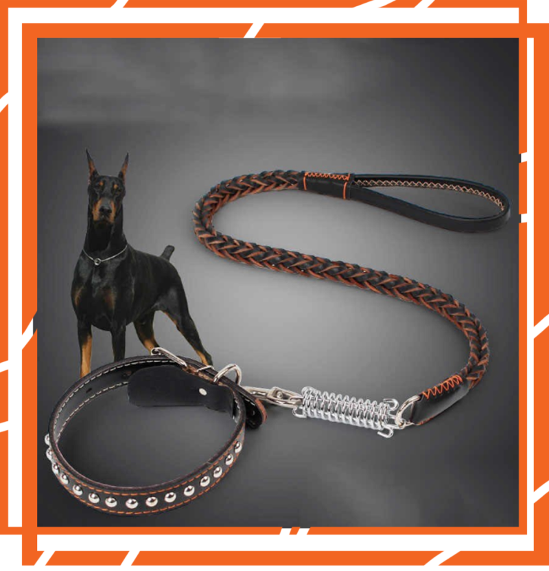 Ошейник для собак Martingale