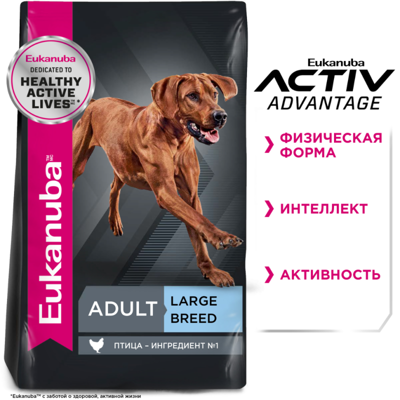 Eukanuba Dog корм для взрослых собак крупных пород 15 кг
