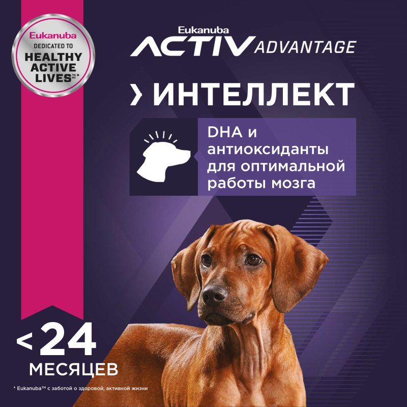 Weight Control сухой корм для собак, пакет 3кг
