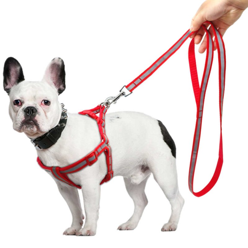 Wau Dog шлейка