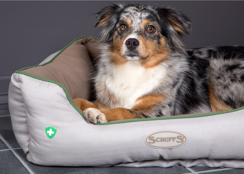 Лежак для собак Scruffs Siberian Husky 100х70х7.5 см
