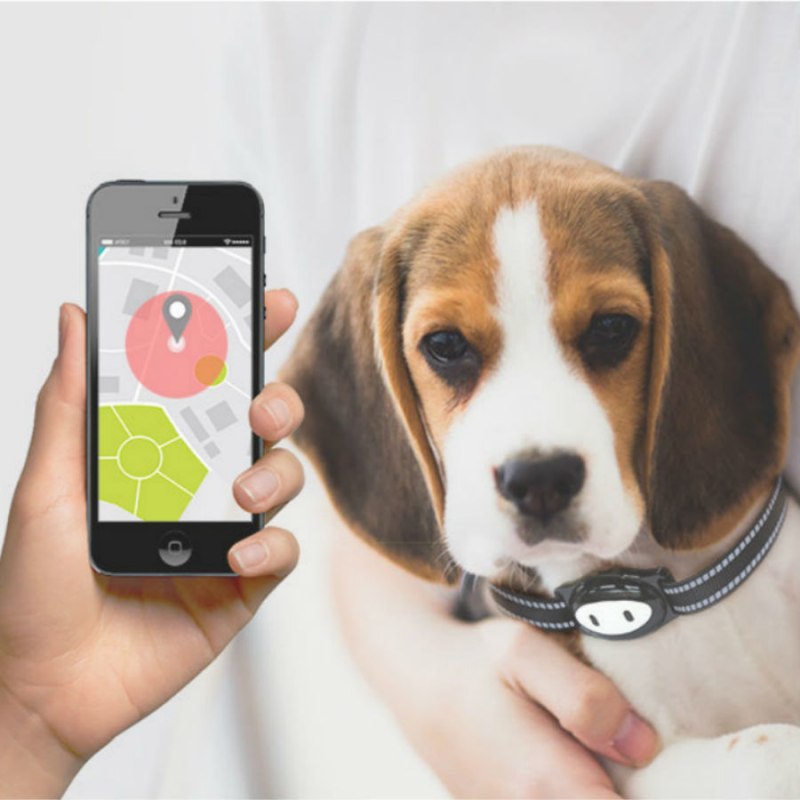 Ошейник Pet GPS-трекер