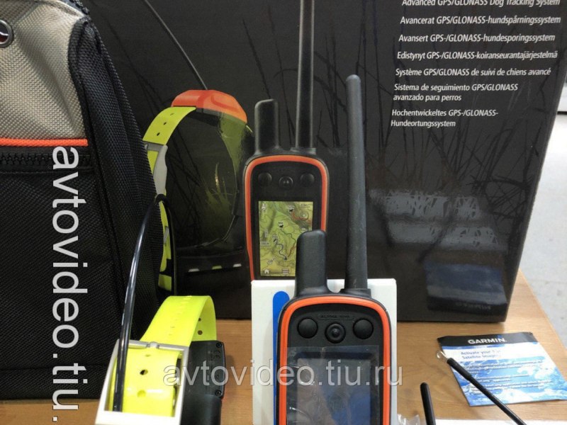 GPS трекер для животных