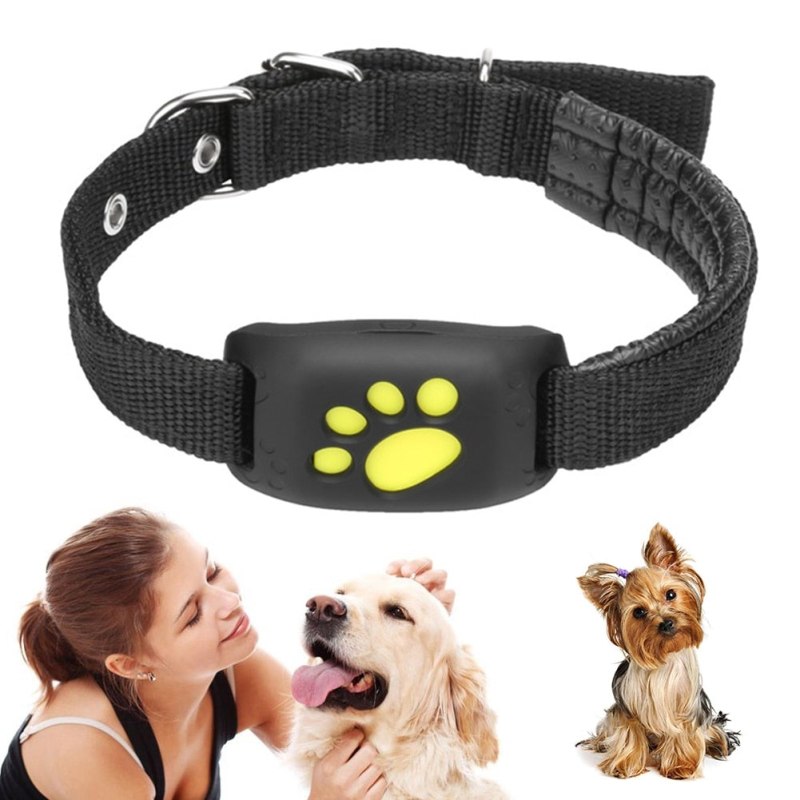 Ошейник Pet GPS-трекер