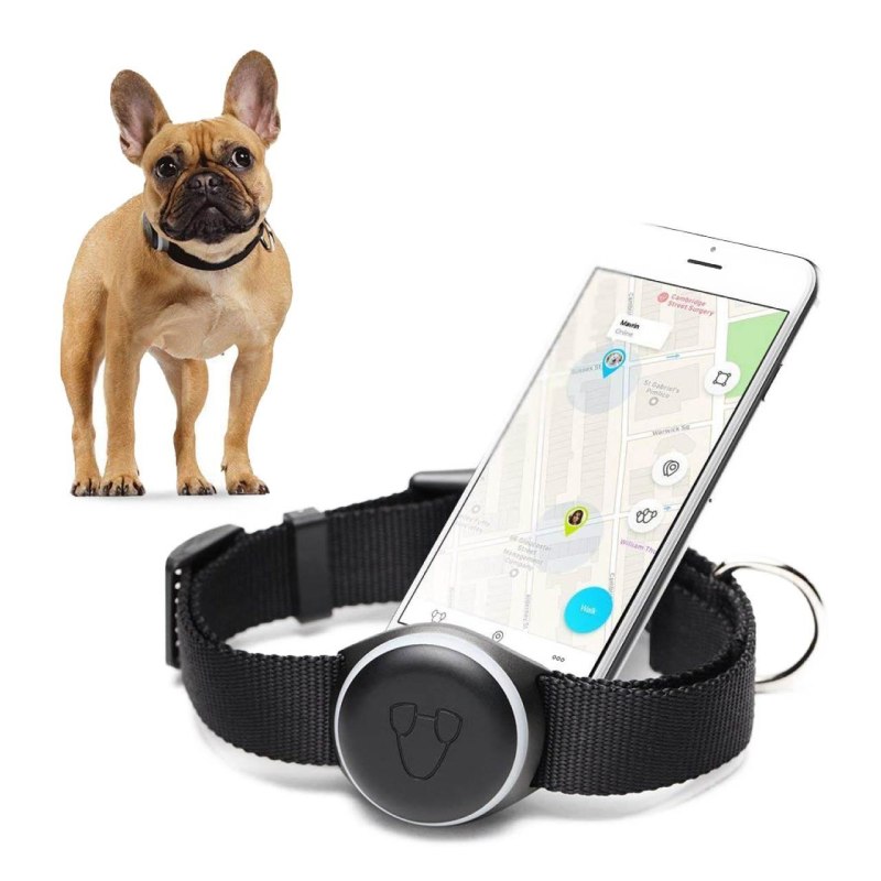 Ошейник Pet GPS-трекер