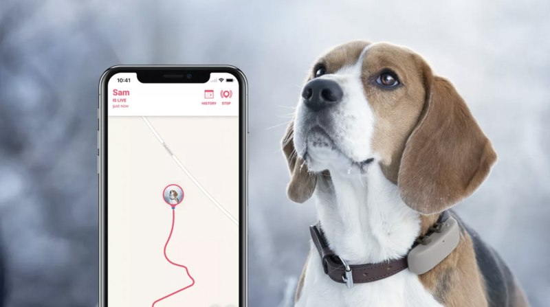 GPS трекер-Маяк g10 для отслеживания собак