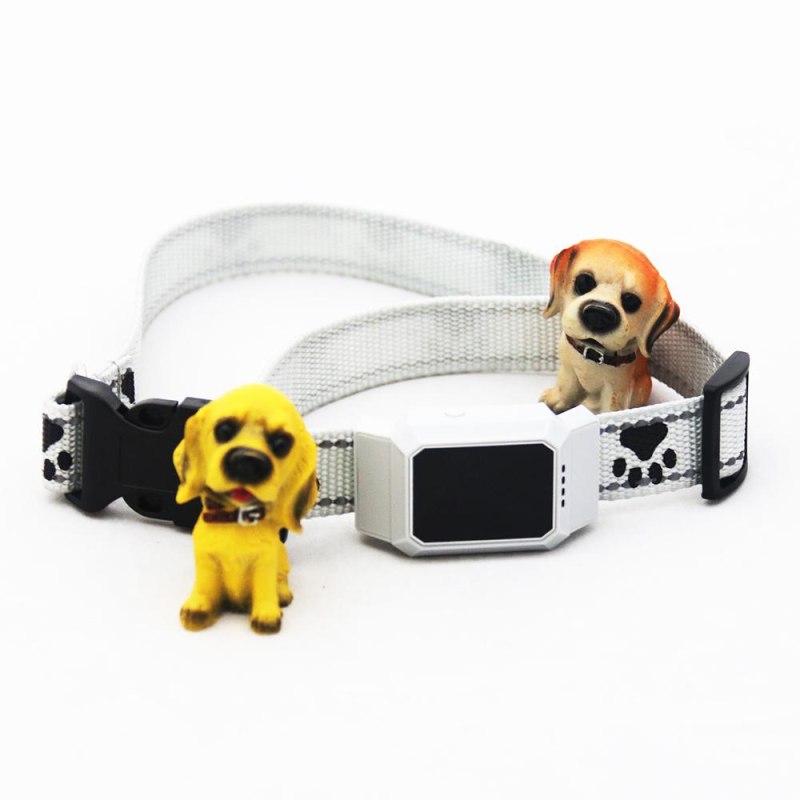 D35 GPS Tracker