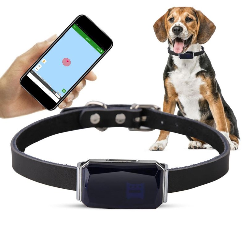 GPS ошейник Mini Pet ip67
