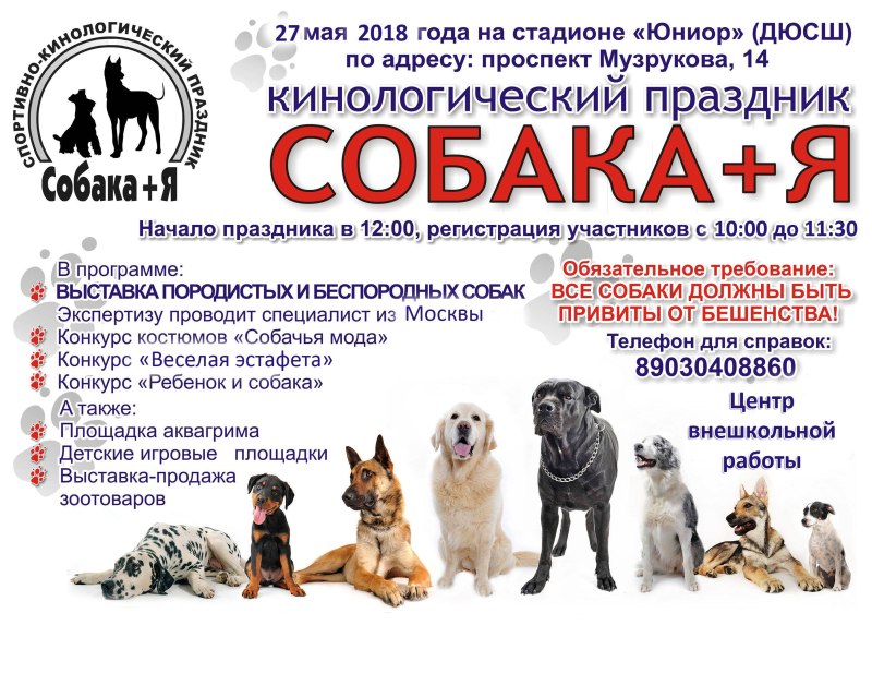 Диплом РКФ