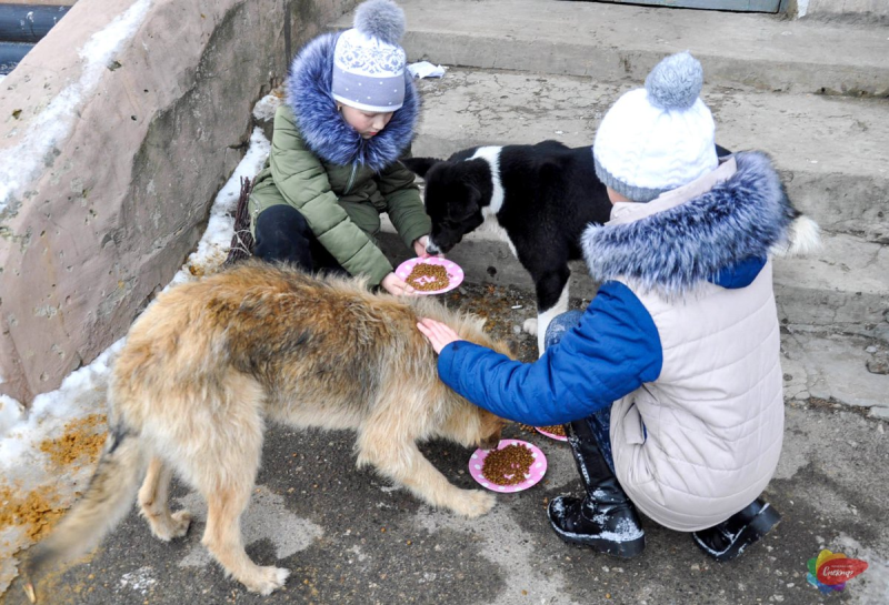 Спасем бездомных животных