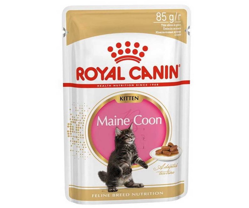 Royal Canin Kitten Maine Coon