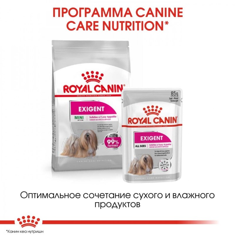 Роял Канин мини Эксиджент