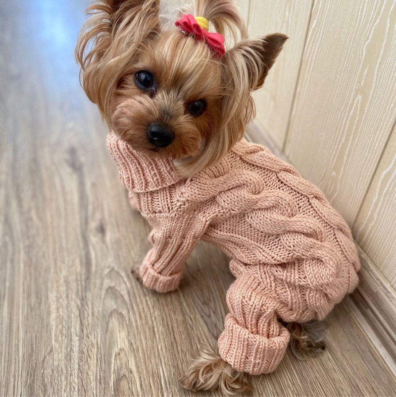 Вязаная одежда для маленьких собак