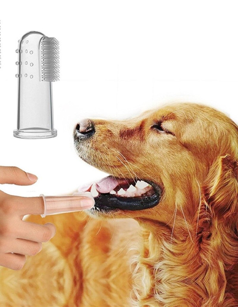 Зубная щетка для собак canine Care