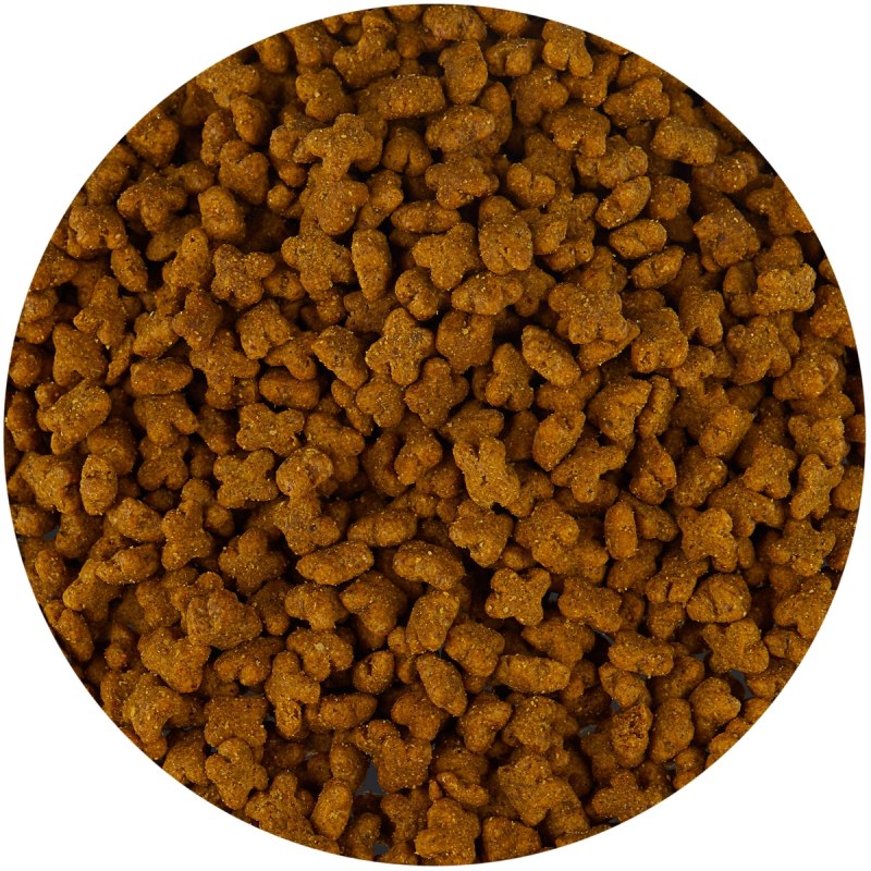 Корм для собак Now Fresh лосось, утка, индейка 2.72 кг