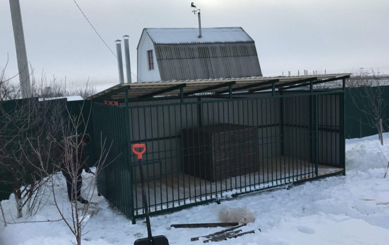 Восточноевропейская овчарка 1 год